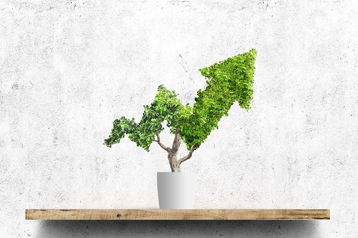 How to actually make money by going green